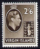 British Virgin islands 1938-47 KG6 2s6d sepia on ord paper unmounted mint SG118a
