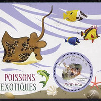 Madagascar 2015 Fish perf deluxe sheet containing one circular value unmounted mint