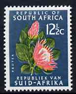 South Africa 1964 Protea 12.5c blue-green (Redrawn & wmk'd) unmounted mint, SG 247a*