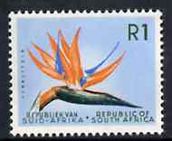 South Africa 1961 Strelitzia 1r (wmk'd) unmounted mint, SG 210