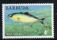 Barbuda 1974 Great Amberjack Fish 4c from pictorial def set unmounted mint, SG 185*