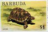 Barbuda 1974 Tortoise $1 from pictorial def set, SG 195 unmounted mint*
