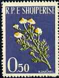 Albania 1961 Medicinal Plants 0L50 Camomile unmounted mint, Mi 654