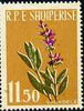 Albania 1961 Medicinal Plants 11L50 Sage unmounted mint, Mi 656