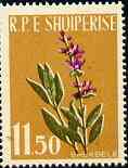 Albania 1961 Medicinal Plants 11L50 Sage unmounted mint, Mi 656