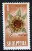 Albania 1965 Winter Fruits 1L Chestnut unmounted mint, Mi 912