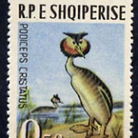 Albania 1963 Great Creasted Grebe 0L50 unmounted mint, Mi 741