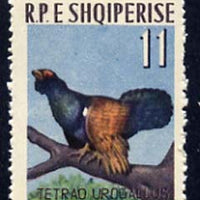 Albania 1963 Capercaillie 11L unmounted mint, Mi 744