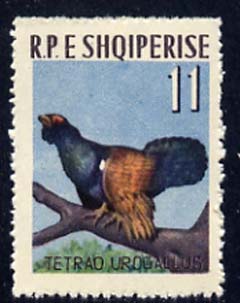 Albania 1963 Capercaillie 11L unmounted mint, Mi 744
