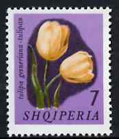 Albania 1965 Tulips 7L unmounted mint, Mi 966