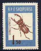 Albania 1963 Lucanus cervus 1L50 from Insects set unmounted mint, Mi 736