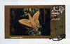 Dhufar 1974 Moths (Large Elephant Moth) imperf souvenir sheet (2R value),cto used
