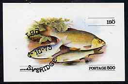 Iso - Sweden 1973 (Rudd) imperf souvenir sheet (500 value) cto used