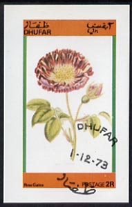 Dhufar 1973 Flowers (Rosa Galica) imperf souvenir sheet (2R value) cto used
