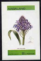 Nagaland 1973 Scilla peruvianum imperf souvenir sheet (2ch value) cto used
