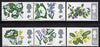 Great Britain 1967 British Wild Flowers unmounted mint set of 6 (phosphor) SG 717-22p