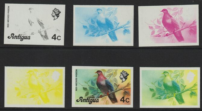 Antigua 1976 Red-necked pigeon 4c (without imprint) set of 6 imperf progressive colour proofs comprising the 4 basic colours, blue & yellow composite plus all 4 colours (as SG 473A) unmounted mint