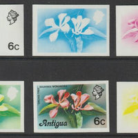 Antigua 1976 Orchid Tree 6c (without imprint) set of 6 imperf progressive colour proofs comprising the 4 basic colours, blue & yellow composite plus all 4 colours unmounted mint (as SG 475A)