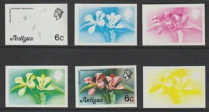 Antigua 1976 Orchid Tree 6c (without imprint) set of 6 imperf progressive colour proofs comprising the 4 basic colours, blue & yellow composite plus all 4 colours unmounted mint (as SG 475A)