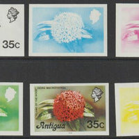 Antigua 1976 Flames of the Wood 35c (with imprint) set of 6 imperf progressive colour proofs comprising the 4 basic colours, blue & yellow composite plus all 4 colours (as SG 480B) unmounted mint