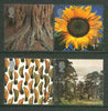 Great Britain 2000 Millennium Projects #08 - Tree & Life set of 4 unmounted mint SG 2156-59