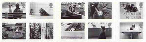 Great Britain 2001 Cats & Dogs Booklet containing set of 10 self-adhesive first class stamps