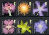 Great Britain 2004 Royal Horticultural Society Bicentenary (Flowers) perf set of 6 unmounted mint SG 2456-61