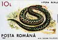 Rumania 1993 Viper Snake from Protected Animals set of 6 unmounted mint, SG 5527, Mi 4895*