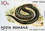 Rumania 1993 Viper Snake from Protected Animals set of 6 unmounted mint, SG 5527, Mi 4895*