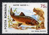 Rumania 1993 Salmon from Protected Animals set of 6 unmounted mint, SG 5530, Mi 4898*