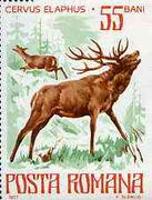 Rumania 1977 Deer from Endangered Animals set unmounted mint, SG 4284, Mi 3417*