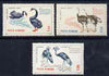 Rumania 1964 Birds set of 3 values from Bucharest Zoo set unmounted mint, SG 3198-3200,,Mi 2331-33