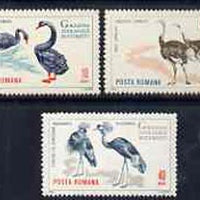 Rumania 1964 Birds set of 3 values from Bucharest Zoo set unmounted mint, SG 3198-3200,,Mi 2331-33