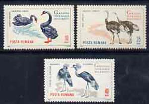 Rumania 1964 Birds set of 3 values from Bucharest Zoo set unmounted mint, SG 3198-3200,,Mi 2331-33