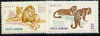 Rumania 1964 Big Cats set of 2 values from Bucharest Zoo set, SG 3201-02,,Mi 2334-35