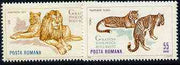 Rumania 1964 Big Cats set of 2 values from Bucharest Zoo set, SG 3201-02,,Mi 2334-35