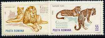 Rumania 1964 Big Cats set of 2 values from Bucharest Zoo set, SG 3201-02,,Mi 2334-35