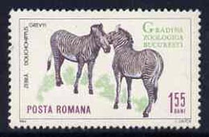 Rumania 1964 Zebra 1L55 from Bucharest Zoo set, SG 3203,,Mi 2336 unmounted mint