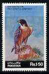 Pakistan 1986 Wildlife Protection (13th Series) 1r50 Falcon unmounted mint, SG 691