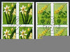 St Thomas & Prince Islands 1979 Flowers 1Db & 25Db each in imperf blocks of 4 with central 'CTT 10.12.80 St Tome" cancel, believed to be publicity proofs