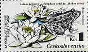 Czechoslovakia 1983 Water Lily & Frog 1k value from Nature Protection set unmounted mint, SG 2675, Mi 2712*