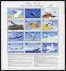 Palau 1996 Oddities of the Air sheetlet containing set of 12 with definitions in lower margin, unmounted mint SG 1118-29
