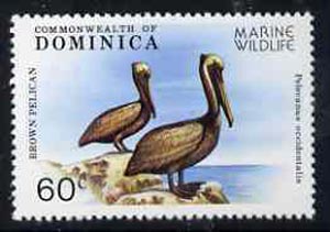 Dominica 1979 Brown Pelican 60c unmounted mint from Marine Wildlife set, SG 663*