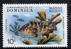 Dominica 1979 Grouper Fish & Coral 10c unmounted mint from Marine Wildlife set of 6, SG 660