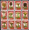Match Box Labels - complete set of 12 Fungi (red background), superb unused condition (Yugoslavian)