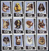 Match Box Labels - complete set of 12 Dogs, superb unused condition (Yugoslavian)