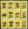 Match Box Labels - complete set of 12 Fungi (yellow background), superb unused condition (Yugoslavian)