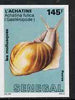 Senegal 1988 Molluscs 145f Giant East African Snail imperf from limited printing unmounted mint, as SG 944*