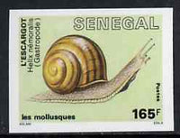 Senegal 1988 Molluscs 165f Banded Snail imperf from limited printing unmounted mint, as SG 945*