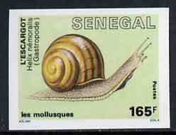 Senegal 1988 Molluscs 165f Banded Snail imperf from limited printing unmounted mint, as SG 945*